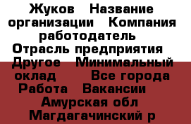 Жуков › Название организации ­ Компания-работодатель › Отрасль предприятия ­ Другое › Минимальный оклад ­ 1 - Все города Работа » Вакансии   . Амурская обл.,Магдагачинский р-н